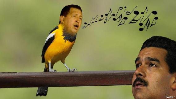 A detta di Maduro, Chávez gli sarebbe apparso nella forma di un uccellino, cantando e assicurandogli la vittoria nelle elezioni