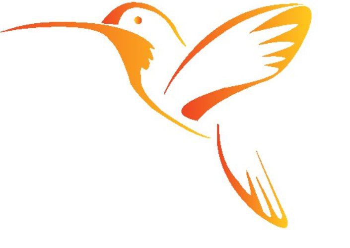 Guerra Fredda 2014: gli Usa, Cuba e il colibrì