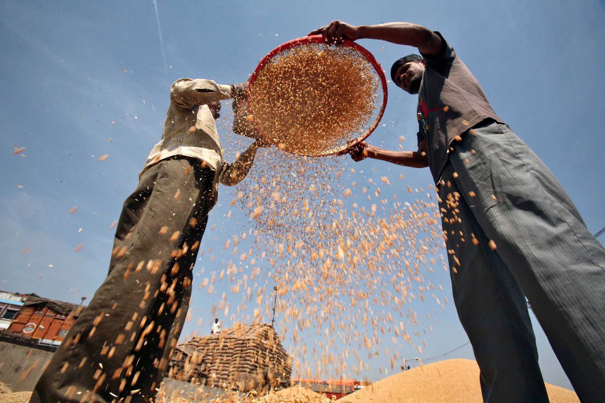 Food security vs. food safety: due facce della stessa medaglia