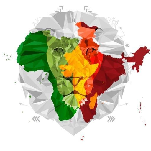 Angola e India, tra rapporti bilaterali e multilaterali