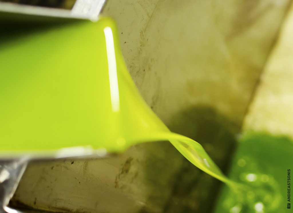 L’olio tunisino e la nostra memoria corta