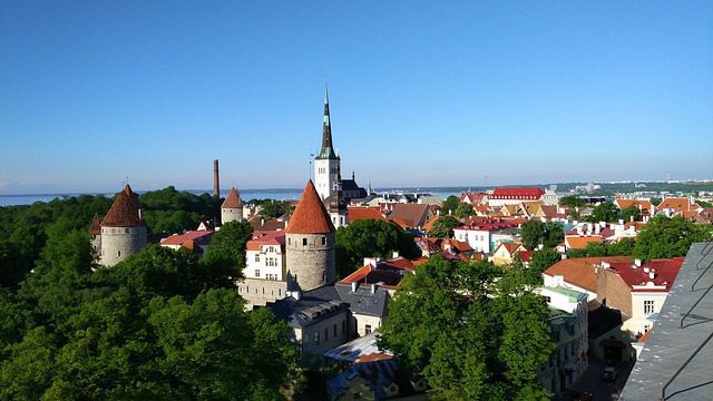 La questione digitale e il vertice di Tallinn