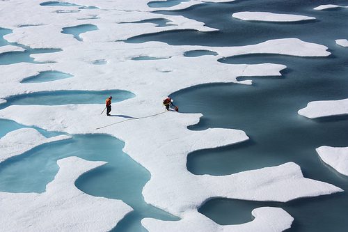 COP 23: un passo avanti per salvare il pianeta?