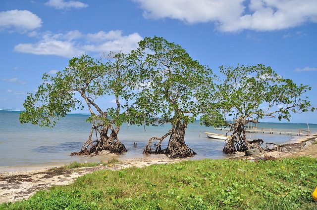 L’Honduras di oggi, tra malaffare ed economia che non decolla
