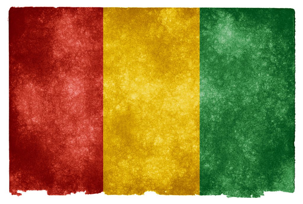 7383969060_0a75a4c204_b_guinea-flag