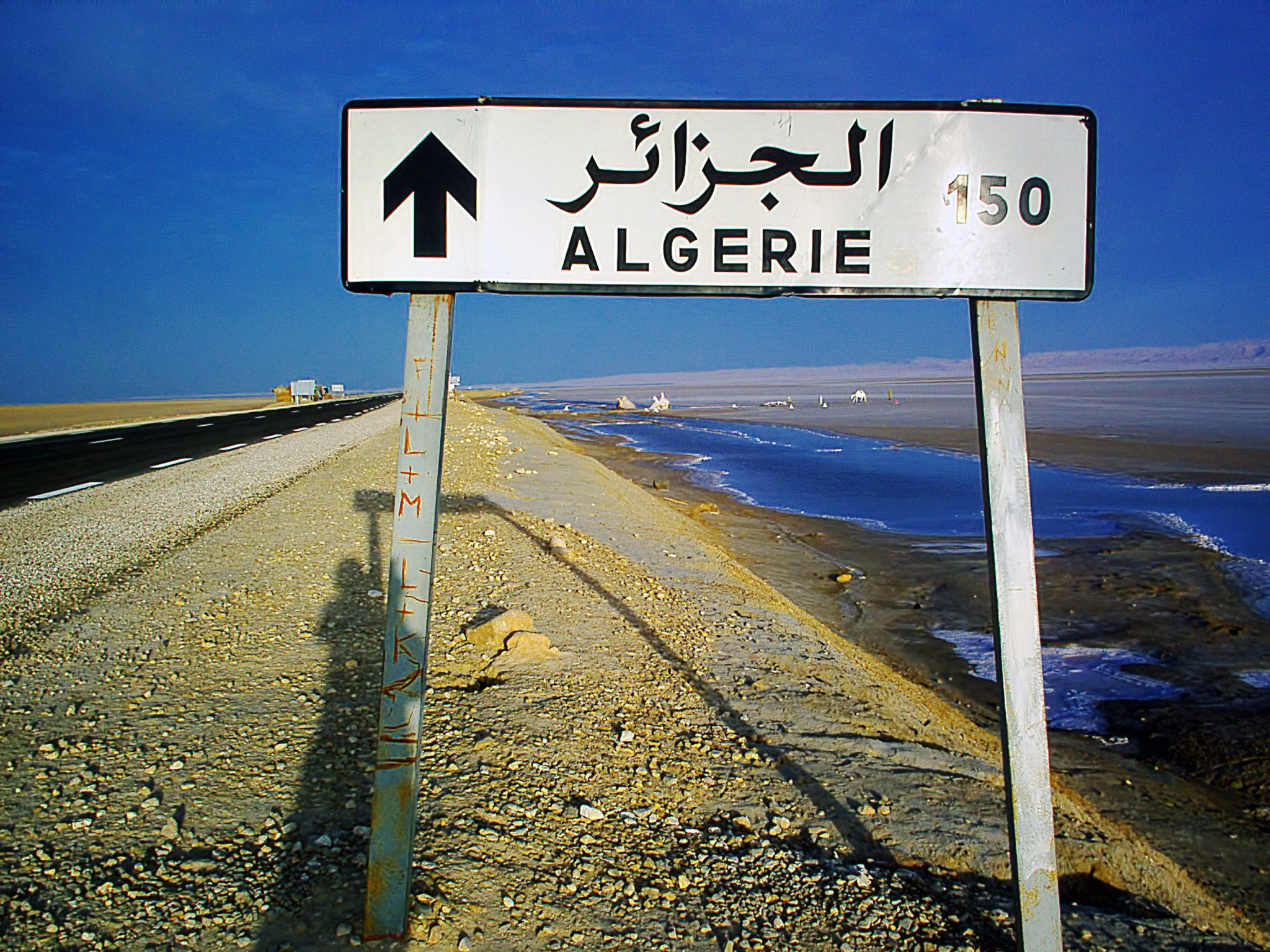 L’Algeria in lento cammino verso il voto del 2019