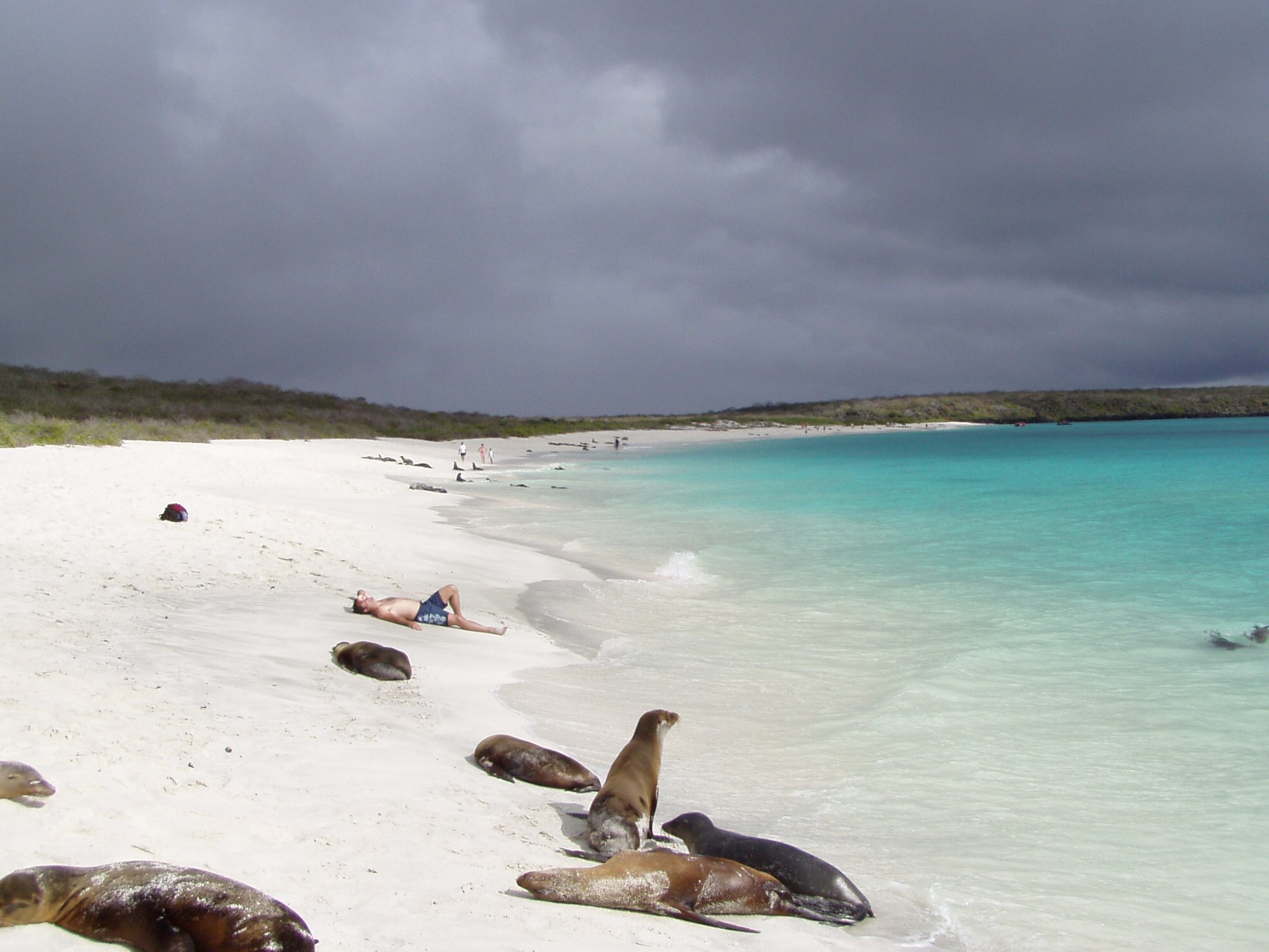 Elezioni alle Galapagos: quale futuro per le isole amate da Darwin?