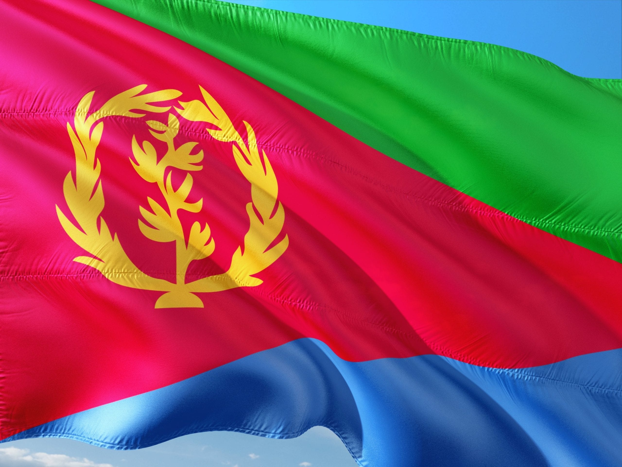 Eritrea, Afewerki in cerca di alleati
