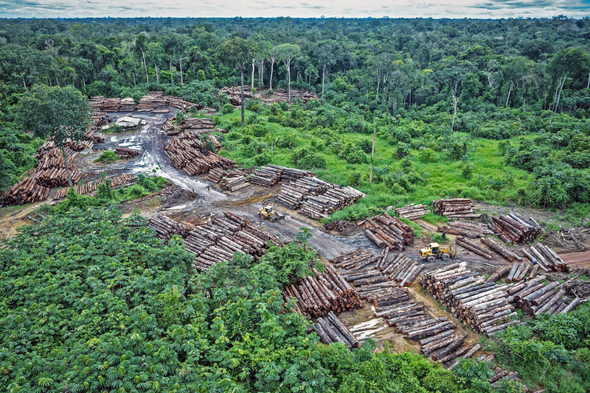 America Latina, la regione più pericolosa per chi difende l’ambiente