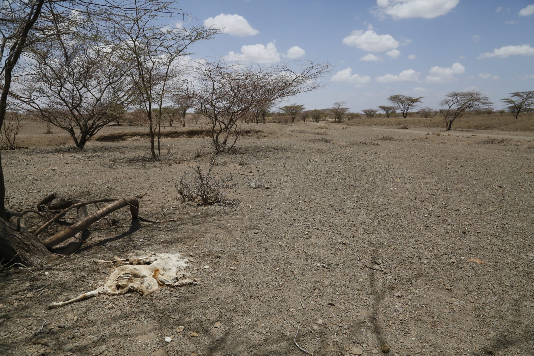Il flagello della siccità in Somalia
