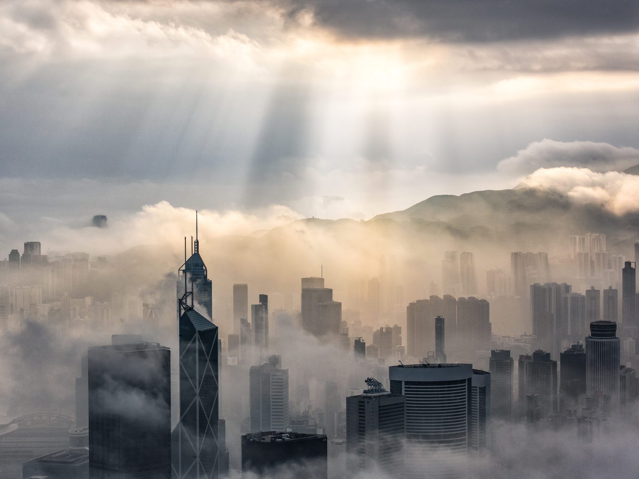 Sulle ali della gru nei cieli di Hong Kong
