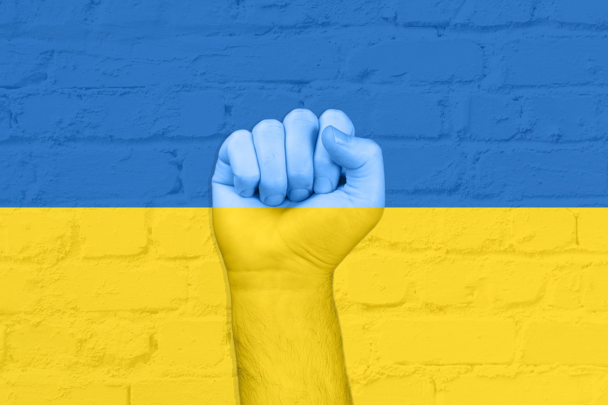 Ucraina, sei mesi dopo