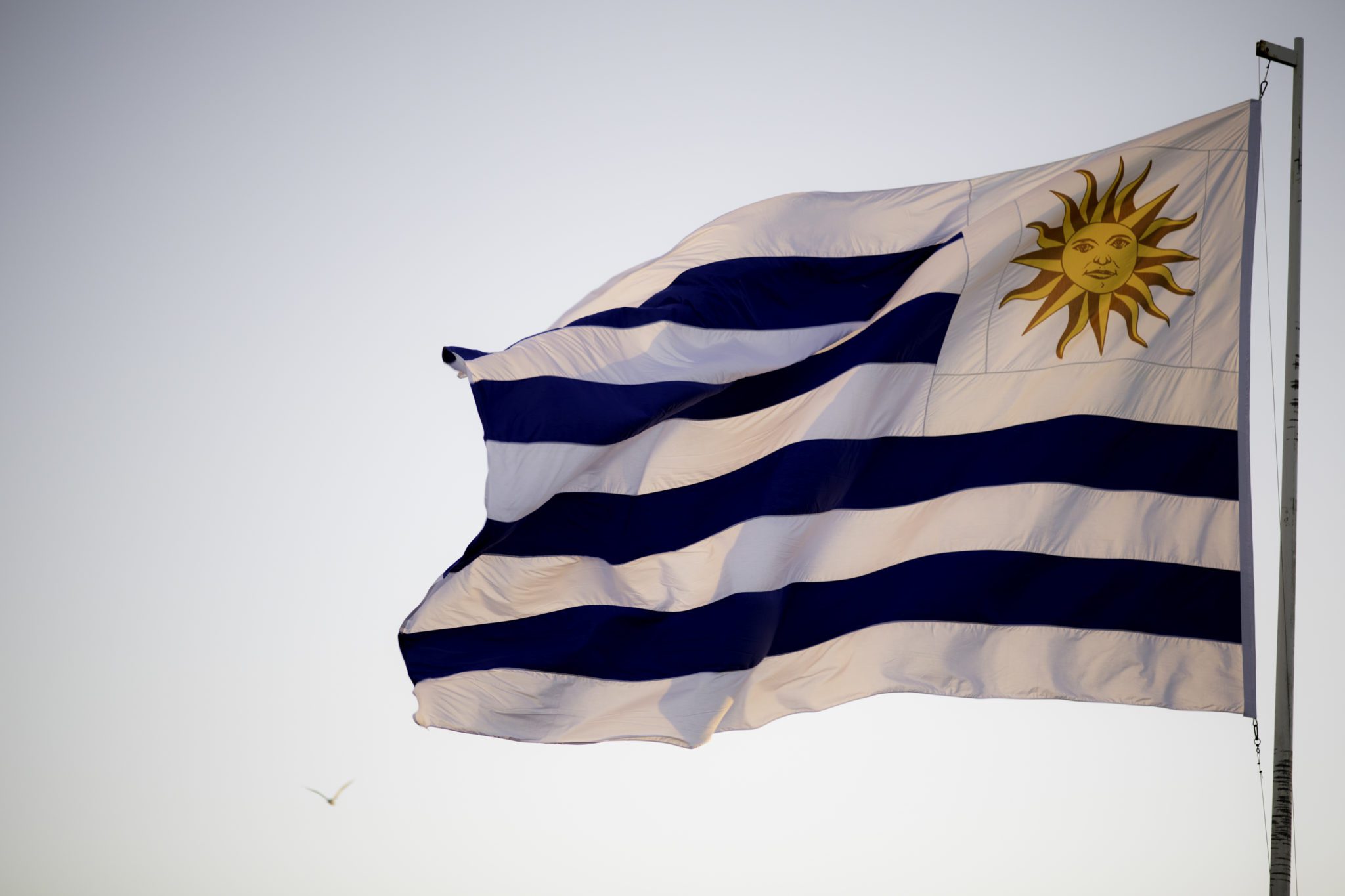 L’Uruguay si apre al mondo: che ne sarà del Mercosur?