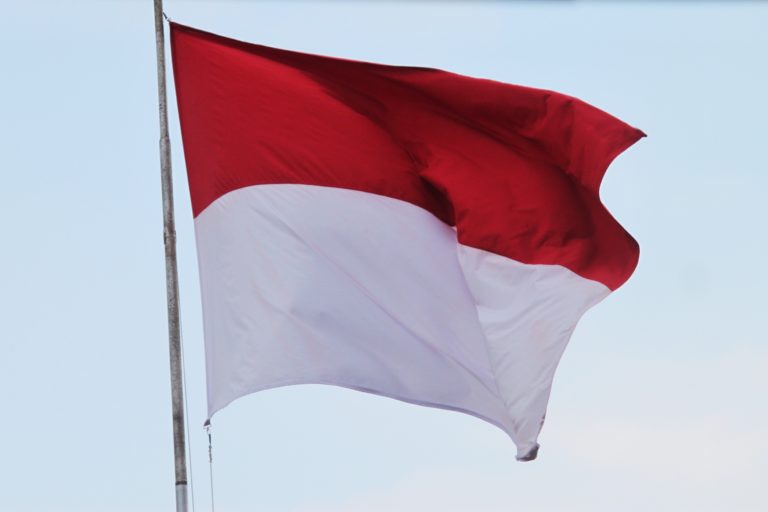 2022: un anno di svolta per gli investimenti esteri in Indonesia