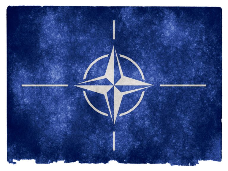 La NATO e la sicurezza climatica: quale prospettiva?