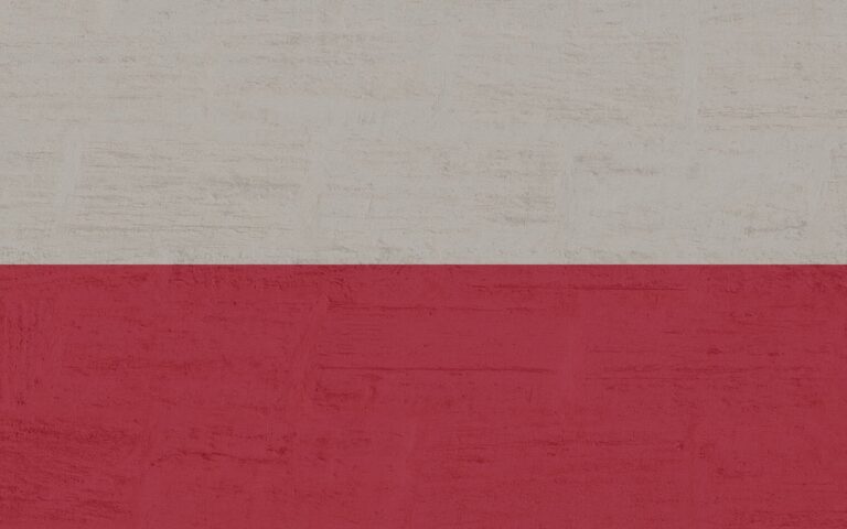 Un test o una crisi? Il caso dei droni russi in Polonia