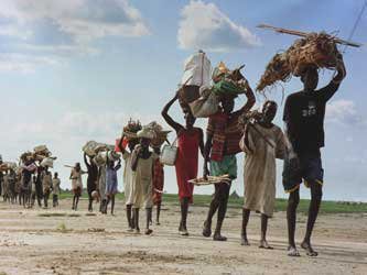 Quando il clima infierisce