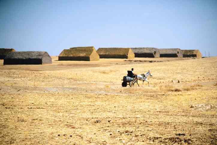 land grabbing2014