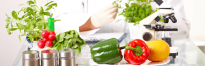 Fig. 2 Fasi di controllo degli alimenti in laboratorio. 