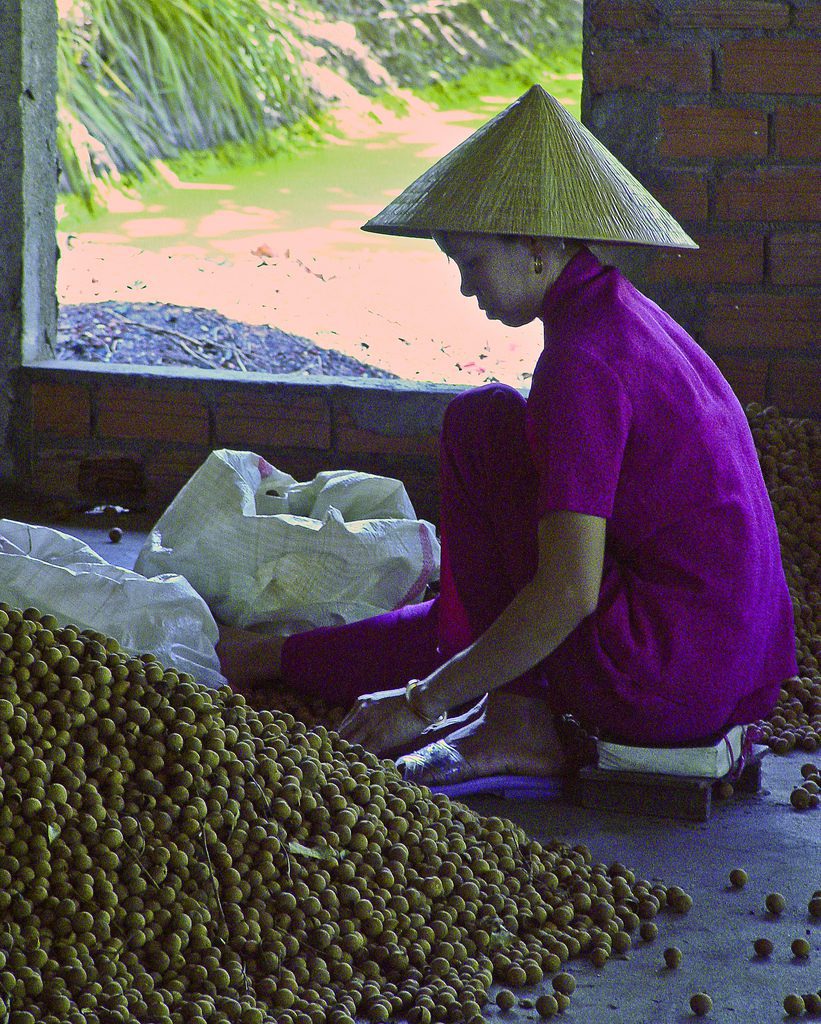 lychee vietnam foto
