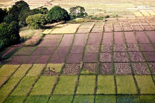 madagascar foto