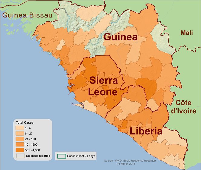 Sierra Leone, Guinea e Liberia sono stati i tre Paesi maggiormente colpiti dal virus. Anche in Mali, Nigeria e Senegal sono stati accertati diversi casi, ma l'epidemia è stata tenuta sotto controllo.