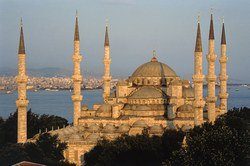 content_274_2